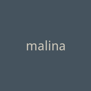 malinandgoetz海外旗舰店官网