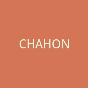 CHAHONG海外旗舰店官网