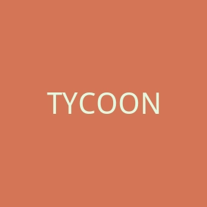 TYCOON海外旗舰店官网
