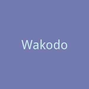 Wakodo和光堂海外旗舰店官网