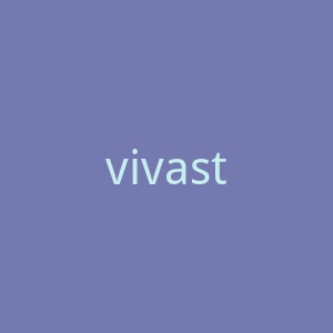 vivastudio海外旗舰店官网