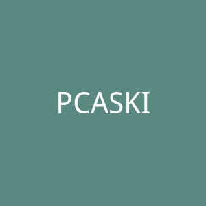PCASKIN海外旗舰店官网