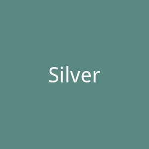 SilverAndGold美国时尚珠宝首饰品牌海淘网站官网