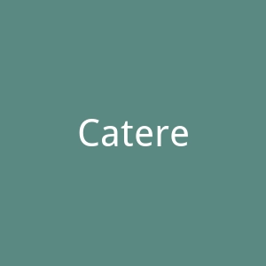 Cateredskichalets.com荷兰滑雪小木屋租赁服务网站官网