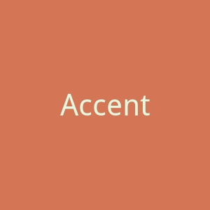 AccentClothing英国服饰鞋子海淘官方网站官网
