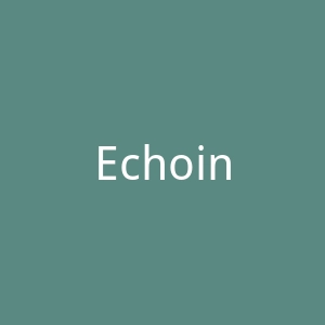 Echoine美国时尚服饰海淘官方网站官网