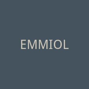 EMMIOL美国时尚服装海淘官方网站官网