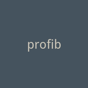 profibike荷兰电动自行车海淘官方网站官网