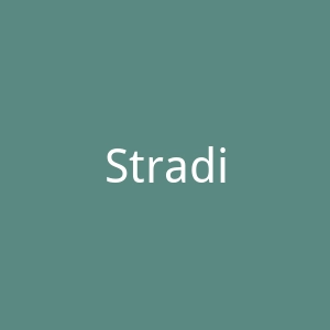 Stradivarius西班牙女装品牌荷兰官方网站官网