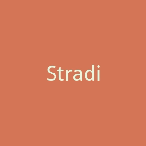 Stradivarius西班牙女装品牌英国官方网站官网