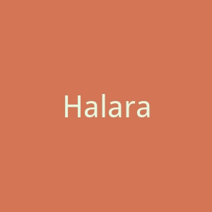 Halara运动休闲服饰香港网站官网