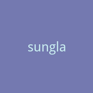 sunglasssavings美国太阳镜品牌官方网站官网