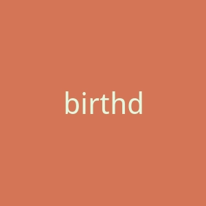 birthdots日本智能手机外壳海淘官方网站官网