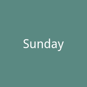 SundayCitizen美国家居家纺用品海淘网站官网