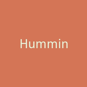 Hummings新加坡鲜花礼品定制配送服务网站官网