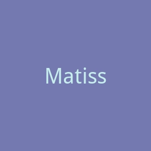 MatisseFootwear美国时尚女鞋品牌官方海淘网站官网
