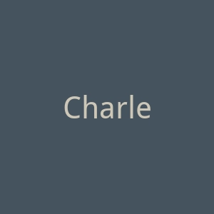 Charles&Keith新加坡服饰鞋履品牌日本网站官网