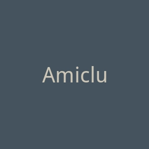 Amiclubwear美国时尚服装配饰官方网站官网