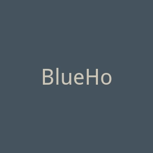 BlueHost蓝色主机服务器主机租用官方网站官网