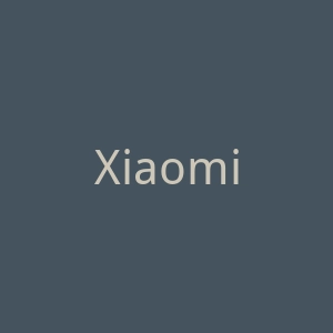 Xiaomi小米手机品牌俄罗斯官方购物网站官网