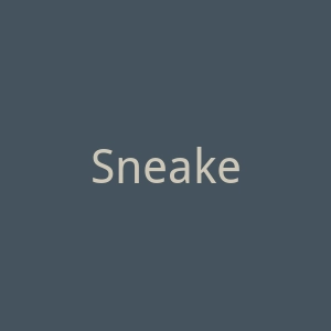 SneakerReleaseTees美国运动鞋运动服饰海淘官方网站官网