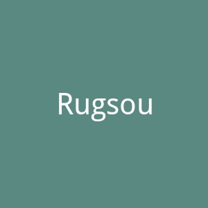 Rugsource美国地毯海淘购物官方网站官网