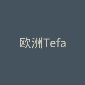欧洲Tefal特福厨具和小家电品牌德国官方网站官网