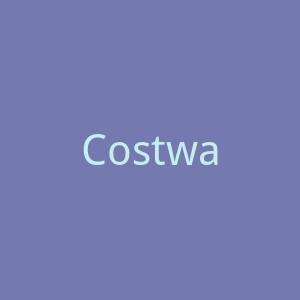 Costway美国家居装饰用品购物商城官网