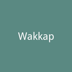 Wakkap西班牙游戏与周边用品海淘网站官网