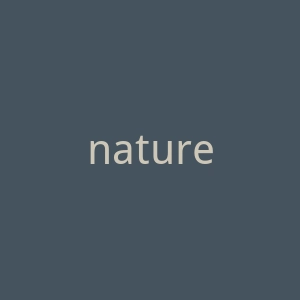 nature4nature.in护肤产品海淘购物网站官网