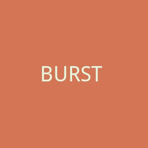 BURST Oral Care 美国电动牙刷和牙齿美白产品海淘网站官网