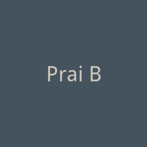 Prai Beauty美国美妆护肤品牌官方网站官网