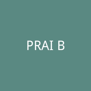 PRAI Beauty UK 美国护肤化妆品英国官网