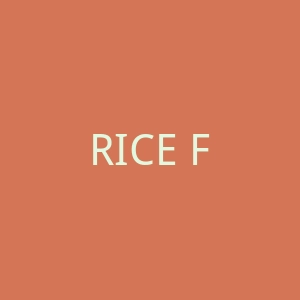 RICE FORCE日本米之珀中文官方网站官网