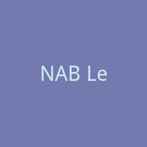 NAB Leather加拿大高端皮具产品购物网站官网