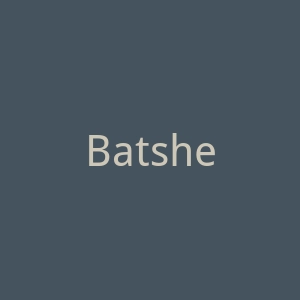 Batsheva美国女装品牌官方网站官网