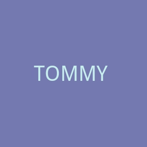 TOMMY HILFIGER美国休闲领导品牌购网站官网