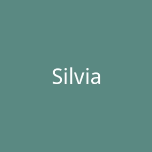 Silviax Jewery中国高端银饰品牌购物网站官网