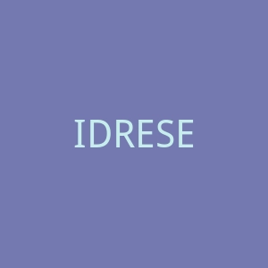 IDRESE FOOTWEAR定制男鞋靴子官方网站官网