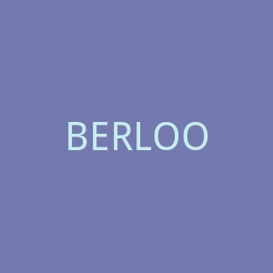BERLOOK 美国时尚泳衣服饰购物网站官网