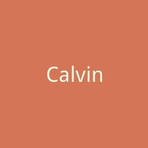 Calvin Klein香港官方网络旗舰店官网