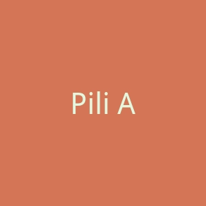 Pili Ani美国天然护肤品购物官方网站官网
