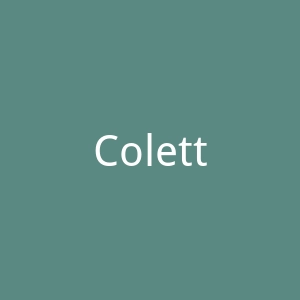 Colette & Sebastian 美国性感女性内衣购物网站官网