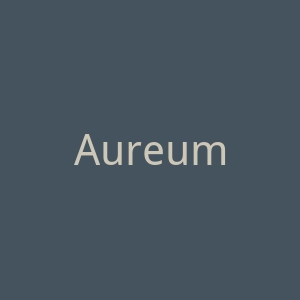 Aureum Collective 美国奢华珠宝首饰购物网站官网