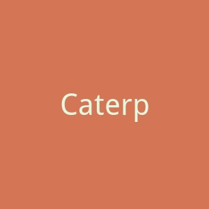 Caterpy 美国安全跑步鞋购物网站官网