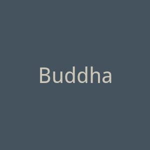 Buddhatrends宽松时尚大码服装购物网站官网