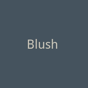 Blush Mark 美国女童服装购物官方网站官网