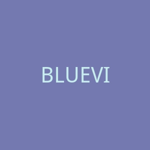 BLUEVIEW 美国环保鞋履品牌购物网站官网