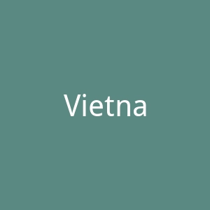 Vietnamhairs 越南头发接发品牌官方网站官网