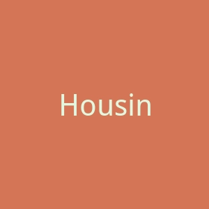 Housing Works 美国复古服装、鞋子网上商城官网